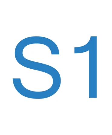 S1