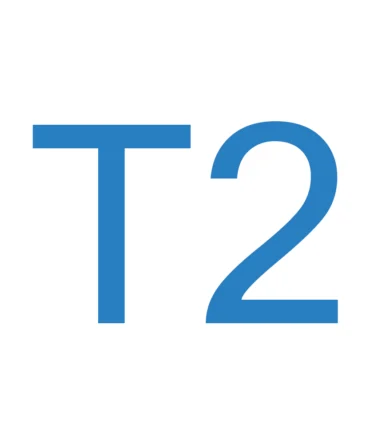 T2